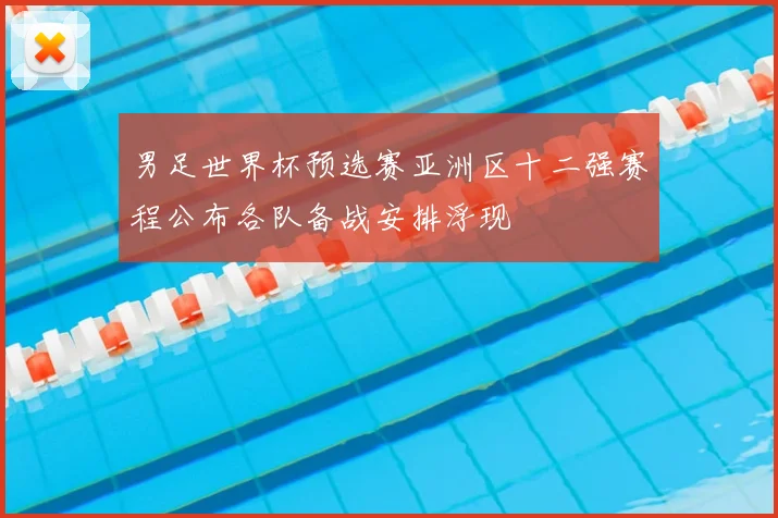 男足世界杯预选赛亚洲区十二强赛程公布各队备战安排浮现