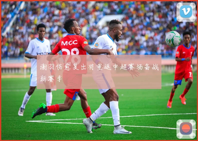 谢羽伤愈复出将重返中超赛场备战新赛季