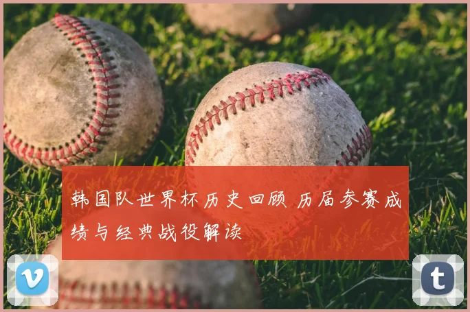 韩国队世界杯历史回顾 历届参赛成绩与经典战役解读