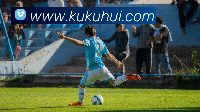 多媒体互动体验